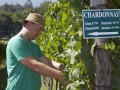 kershaw richard vineyards 03