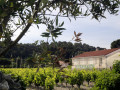 ferme blanche vineyards