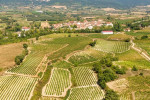 aiurri vineyards