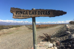 finca las divas sign