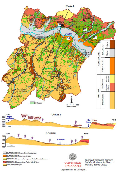 geological map of toro image